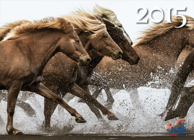 Icelandic Horses are featured in Tolt News Calendar
